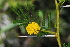  ( - OM1902)  @11 [ ] Unspecified (default): All Rights Reserved  Unspecified Unspecified