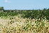  ( - OM1902)  @12 [ ] Unspecified (default): All Rights Reserved  Unspecified Unspecified