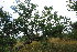  ( - OM1909)  @11 [ ] Unspecified (default): All Rights Reserved  Unspecified Unspecified