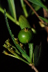  ( - OM1939)  @11 [ ] Unspecified (default): All Rights Reserved  Unspecified Unspecified