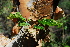  ( - OM1972)  @11 [ ] Unspecified (default): All Rights Reserved  Unspecified Unspecified