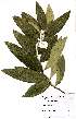  ( - OM1978)  @11 [ ] Unspecified (default): All Rights Reserved  Unspecified Unspecified