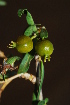  ( - OM1990)  @11 [ ] Unspecified (default): All Rights Reserved  Unspecified Unspecified