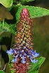  ( - OM1992)  @11 [ ] Unspecified (default): All Rights Reserved  Unspecified Unspecified