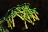  ( - OM2010)  @11 [ ] Unspecified (default): All Rights Reserved  Unspecified Unspecified