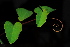  ( - OM2015)  @11 [ ] Unspecified (default): All Rights Reserved  Unspecified Unspecified