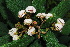  ( - OM2026)  @11 [ ] Unspecified (default): All Rights Reserved  Unspecified Unspecified