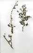  ( - OM0224)  @11 [ ] Copyright  - Unspecified