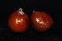  ( - OM0236)  @11 [ ] Unspecified (default): All Rights Reserved  Unspecified Unspecified
