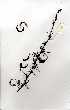 ( - OM0314)  @13 [ ] Copyright  - Unspecified
