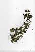  ( - OM0328)  @11 [ ] Copyright  - Unspecified