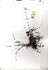  ( - OM0358)  @11 [ ] Copyright  - Unspecified