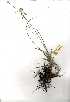  ( - OM0384)  @11 [ ] Copyright  - Unspecified