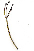  ( - OM0569)  @11 [ ] Copyright  - Unspecified