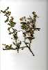  ( - OM0759)  @13 [ ] Copyright  - Unspecified