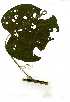  ( - OM0822)  @11 [ ] Copyright  - Unspecified