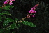  ( - OM0964)  @11 [ ] Unspecified (default): All Rights Reserved  Unspecified Unspecified