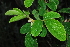  ( - OM0964)  @11 [ ] Unspecified (default): All Rights Reserved  Unspecified Unspecified