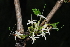  ( - RBN251)  @11 [ ] Unspecified (default): All Rights Reserved  Unspecified Unspecified