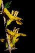  ( - OM0433)  @11 [ ] Unspecified (default): All Rights Reserved  Unspecified Unspecified