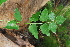  ( - OM0566)  @11 [ ] Unspecified (default): All Rights Reserved  Unspecified Unspecified