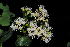  ( - RBN304)  @11 [ ] Unspecified (default): All Rights Reserved  Unspecified Unspecified