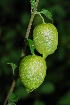  ( - RBN143)  @11 [ ] Unspecified (default): All Rights Reserved  Unspecified Unspecified