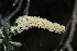  ( - OM1037.1)  @11 [ ] Unspecified (default): All Rights Reserved  Unspecified Unspecified