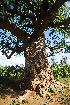  ( - OM500.1)  @11 [ ] Unspecified (default): All Rights Reserved  Unspecified Unspecified
