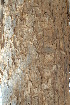  ( - RBN158.1)  @11 [ ] Unspecified (default): All Rights Reserved  Unspecified Unspecified