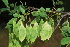  ( - RBN158.1)  @11 [ ] Unspecified (default): All Rights Reserved  Unspecified Unspecified