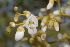  ( - RBN158.1)  @11 [ ] Unspecified (default): All Rights Reserved  Unspecified Unspecified