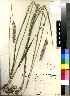  ( - Groenewald_et_Daneel_8730)  @11 [ ] No Rights Reserved  Unspecified Unspecified