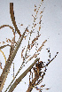 ( - KNP007)  @11 [ ] Unspecified (default): All Rights Reserved  Unspecified Unspecified