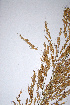  ( - KNP008)  @11 [ ] Unspecified (default): All Rights Reserved  Unspecified Unspecified
