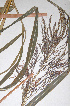  ( - KNP012)  @11 [ ] Unspecified (default): All Rights Reserved  Unspecified Unspecified