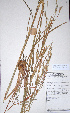  ( - KNP020)  @11 [ ] Unspecified (default): All Rights Reserved  Unspecified Unspecified