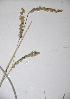  ( - KNP055)  @11 [ ] Unspecified (default): All Rights Reserved  Unspecified Unspecified