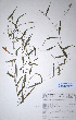  ( - KNP080)  @11 [ ] Unspecified (default): All Rights Reserved  Unspecified Unspecified