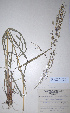  ( - KNP101)  @11 [ ] Unspecified (default): All Rights Reserved  Unspecified Unspecified