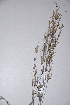  ( - KNP101)  @11 [ ] Unspecified (default): All Rights Reserved  Unspecified Unspecified