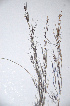  ( - KNP108)  @11 [ ] Unspecified (default): All Rights Reserved  Unspecified Unspecified
