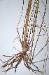  ( - KNP112)  @11 [ ] Unspecified (default): All Rights Reserved  Unspecified Unspecified