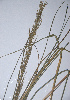  ( - KNP124)  @11 [ ] Unspecified (default): All Rights Reserved  Unspecified Unspecified
