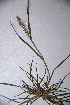  ( - KNP134)  @11 [ ] Unspecified (default): All Rights Reserved  Unspecified Unspecified