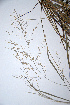  ( - KNP139)  @11 [ ] Unspecified (default): All Rights Reserved  Unspecified Unspecified