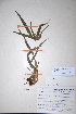  ( - KNP182)  @11 [ ] Unspecified (default): All Rights Reserved  Unspecified Unspecified
