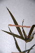 ( - KNP182)  @11 [ ] Unspecified (default): All Rights Reserved  Unspecified Unspecified