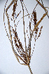 ( - KNP185)  @11 [ ] Unspecified (default): All Rights Reserved  Unspecified Unspecified
