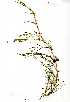  ( - OM0710)  @11 [ ] Copyright  - Unspecified